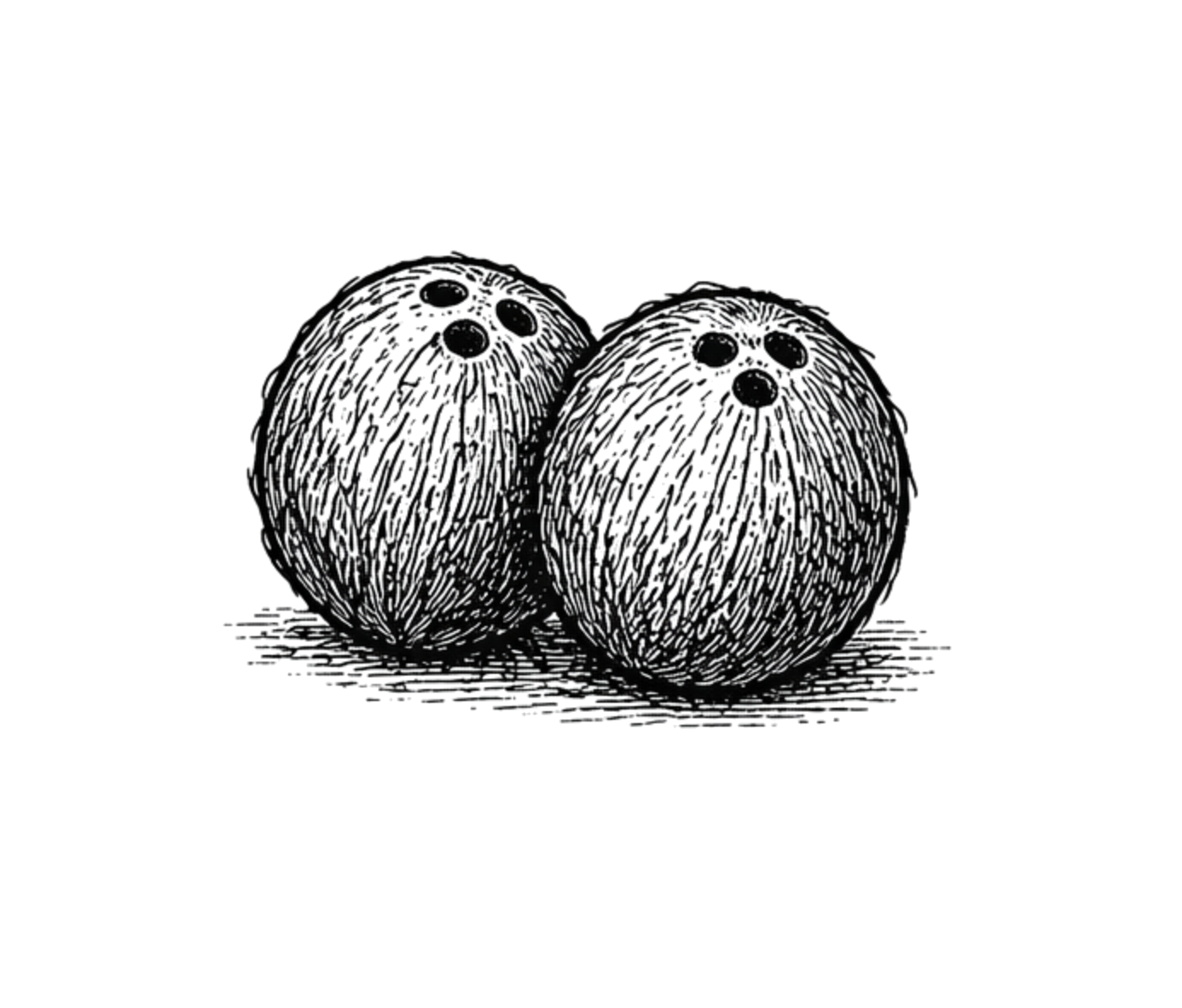 Coconuts